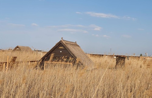 Rust Apartment | Romantika5 - Schilfhaus, Dusche, WC, Seeblick