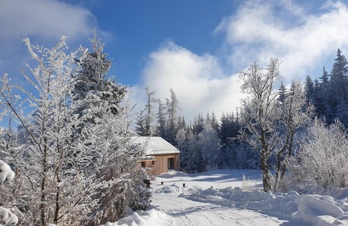 Sankt Corona am Wechsel Apartment | Romantisches Holzhaus mit Schwimmteich, Direkt an Kinderskipiste