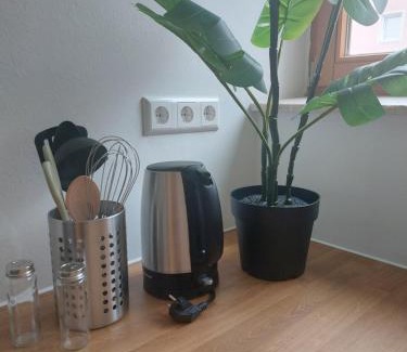 Neu-Ulm Apartment | Rooftop Apartments - Stillvolles Apartment 4P nahe Glacis Center