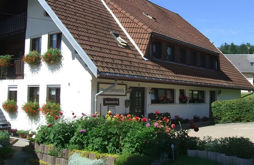 Herrenschwand Apartment | Room 'Doppelzimmer 2' with Mountain View and Wi-Fi