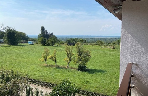 Bad Bellingen Apartment | Room 'Doppelzimmer 3 - Chardonnay' with Shared Terrace, Shared Garden and Wi-Fi