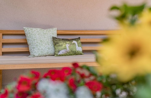 Schoppernau Apartment | Room Freude (1-2 persons) - Moosbrugger Rosmarie - Haus WohlSEIN