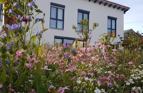 Bad Urach Apartment | Room 'No. 4' with Shared Terrace, Communal Garden and Wi-Fi