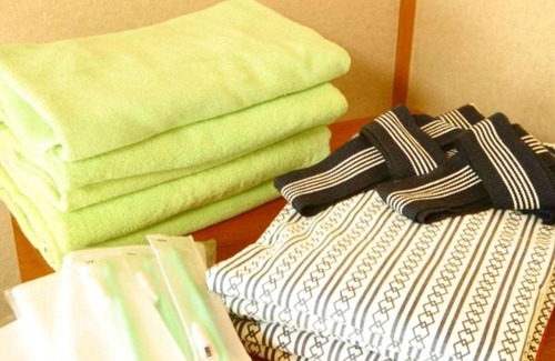 Iida Hotel | Room with loft maisonette type for 2 people/Kitaazumi-gun Nagano