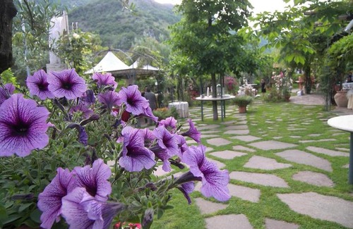 Sant'Elia Fiumerapido Bed & Breakfast | Room x 3 Villa Des Reves in the green near Montecassino