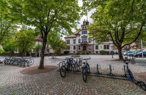 Schoenau im Schwarzwald Apartment | Room 'Zimmer 1' with Shared Terrace, Shared Garden and Wi-Fi