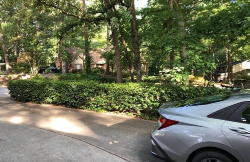 Harbison Apartment | ROOMY APARTMENT IN QUIET NEIGHBORHOOD CLOSE TO EVERYTHING!