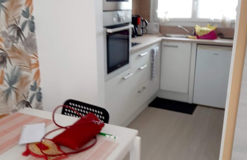 Roscoff Apartment | Roscoff 500m thalasso beach port STUDIO 2 pers (parking-terrace)
