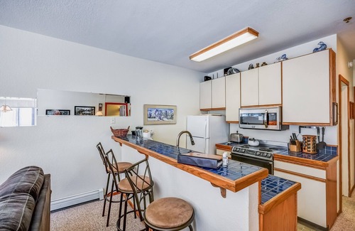 Kirkwood Condo | Rose's Kirkwood Hideout upgraded 1 bdrm 202
