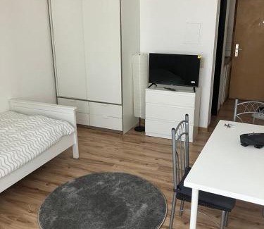 St. Johanner Markt Apartment | Rosenappartements