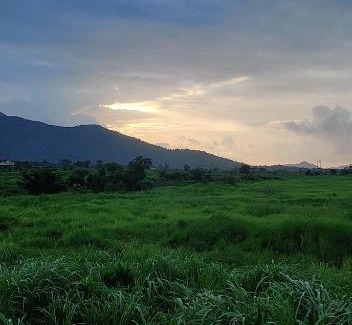 Vasai House | Roshan's Nature Farmstay