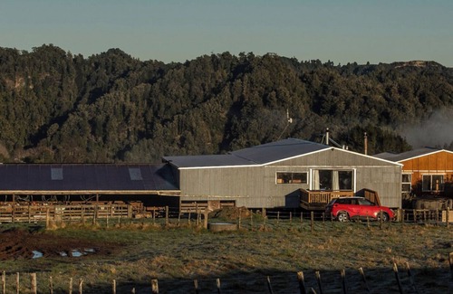 Kotare Other | RotokauwaI Farmstay private, cosy ,great walks and views