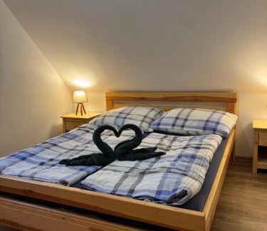 Velke Karlovice Apartment | Roubenka-Karlovice