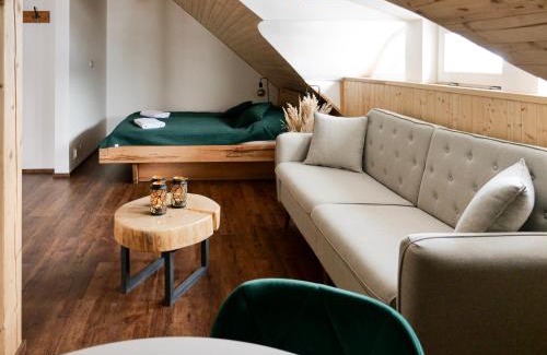 Borova Lada Apartment | Roubenka Meandra - studio 32m2