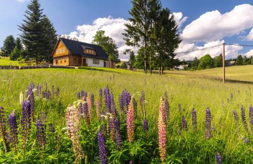 Ricky v Orlickych horach Ski Chalet | Roubenka Růženka - Říčky v Orlických horách