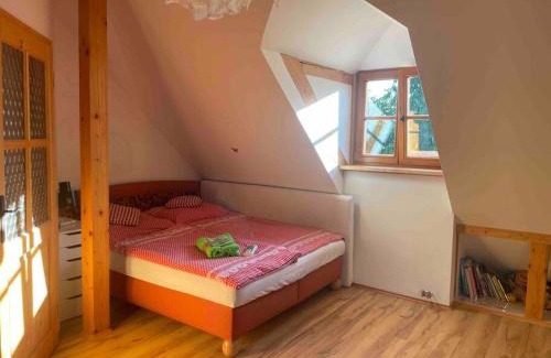 Zbizuby Ski Chalet | Roubenka v Posázaví