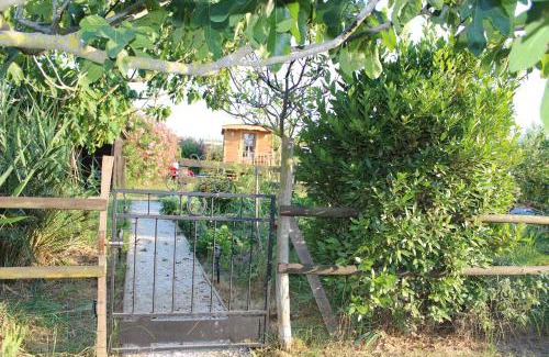 Saintes-Maries-de-la-Mer Bed & Breakfast | Roulotte Lou Gregau