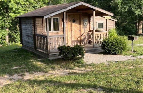 Helmsburg Cabin | "Rowan" Camping Cabin #4 | Pet Friendly