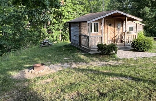 Helmsburg Cabin | "Rowan" Camping Cabin #4 | Pet Friendly