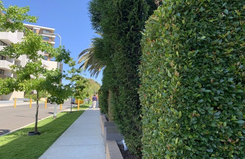 Caulfield North Apartment | Royal Executive living Garden Corproate Residency