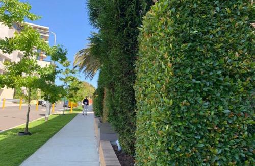 Caulfield North Apartment | Royal Executive Living Garden Executive Home