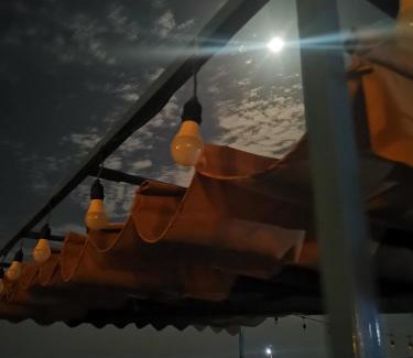 Ash Sharqiyah North Governorate Other | ROYAl FINS CAMP
