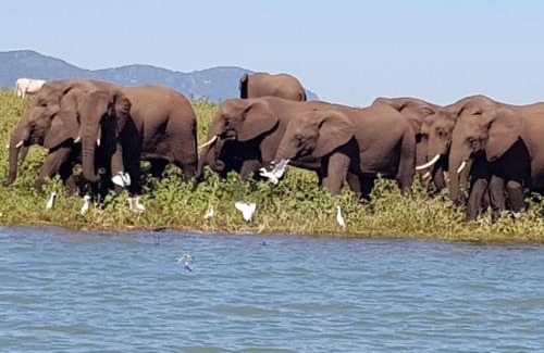 Shiselweni House | Royal Jozini Private Game Reserve