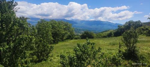 Librazhd Other | Rreshka-Mreshkes