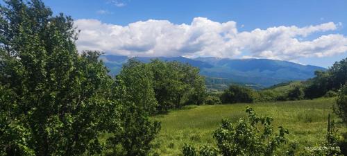 Librazhd Other | Rreshka-Mreshkes