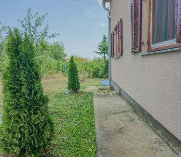 Petrovaradin House | Vila Nera