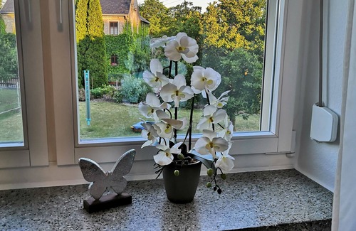 Leppersdorf Apartment | Ruhige Ferienwohnung in Leppersdorf/nahe Dresden