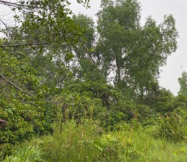 Kalimantan House | Rumbia Lodge