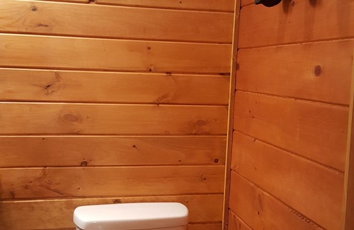 Topton Cabin | Running Branch Lodge (cabin) Nantahala,rafting,zipline,Wifi, dtv, firepit,stream