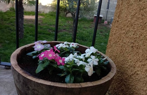 Ambel House | Rural House Villa de Ambel full rental. 300m2 only for you with garden and BBQ