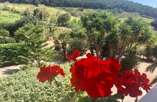 Alghero Cottage | Rural house with terrace. Unique environment, close to the most beautiful beaches!