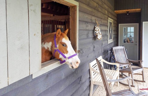 Hendersonville House | Rustic & Authentic Farm Stay by DuPont Forest!