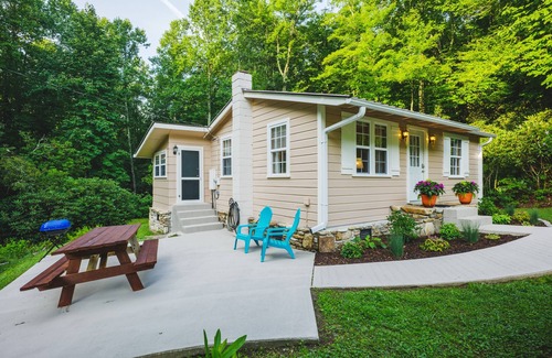 Cedar Mountain Cabin | Rustic cabin at Dupont Forest