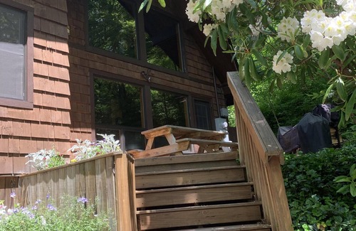 Asheville Cabin | Rustic Cabin In Asheville Forest-15 Minutes From Downtown AVL, yet worlds away!