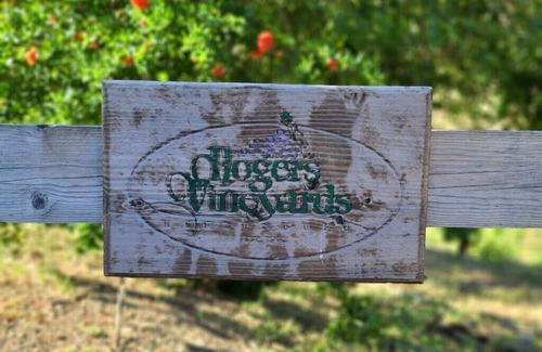 Healdsburg Cabin | ✨Rustic Cabin in Dry Creek Valley with beautiful views/5 miles to Plaza ✨