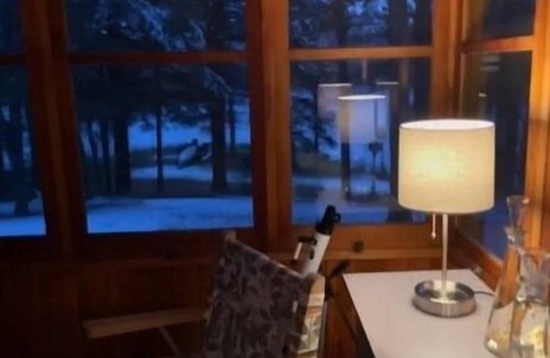 Bigfork Cabin | Rustic cabin in remote wooded area on point overlooking lake.