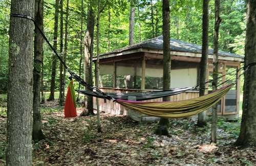 Frederic Cabin | Rustic Cabin on 10 secluded acres
