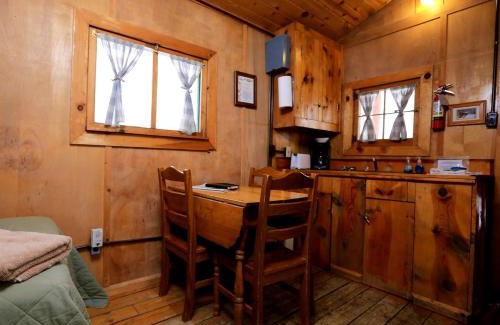 Clark House | Rustic Camping Cabin with Lovely Nature Views in Columbine, Colorado