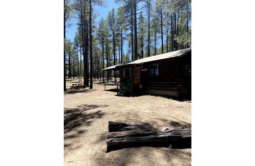 Alpine Cabin | Rustic Charm Cabin in the tall pines, Alpine AZ #4