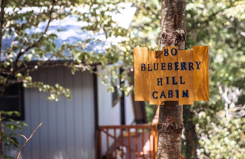 Almond Cabin | Rustic, Cozy Cabin with a View of the Smokies, Firepit, Large Deck, Pet-Friendly