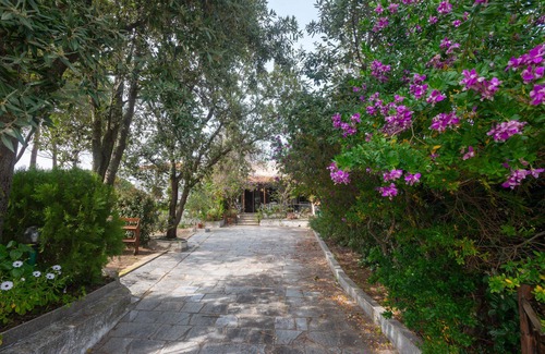 Aglientu Cottage | Rustic Gallurese