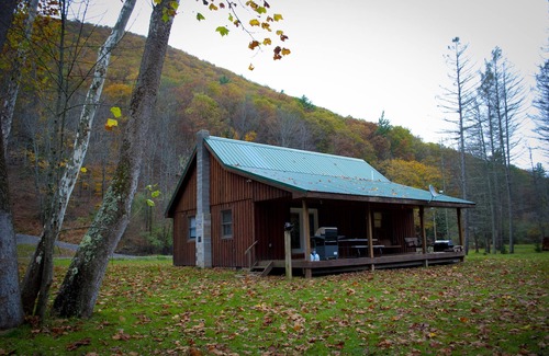 Driftwood Cabin | Rustic Getaway In The Heart Of The Pennsylvania Elk Range