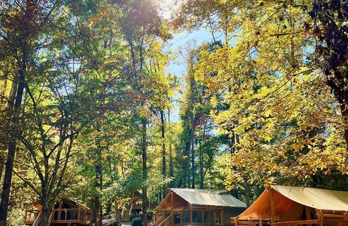 Saluda RV Rental | Rustic Glamping Tent nestled in the beauty of the Green River Gamelands!