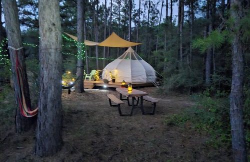 Conroe Cabin | Rustic Glamping with Goats in Forest Near Houston