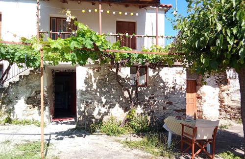 Sparta House | Rustic Greek Village Life at The Juicy Olive (The Brave Stays)