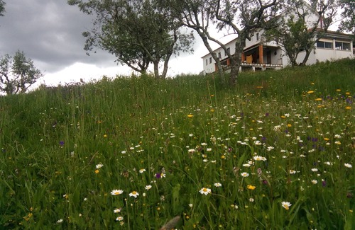 Gois House | Rustic house in a small village with amazing views
